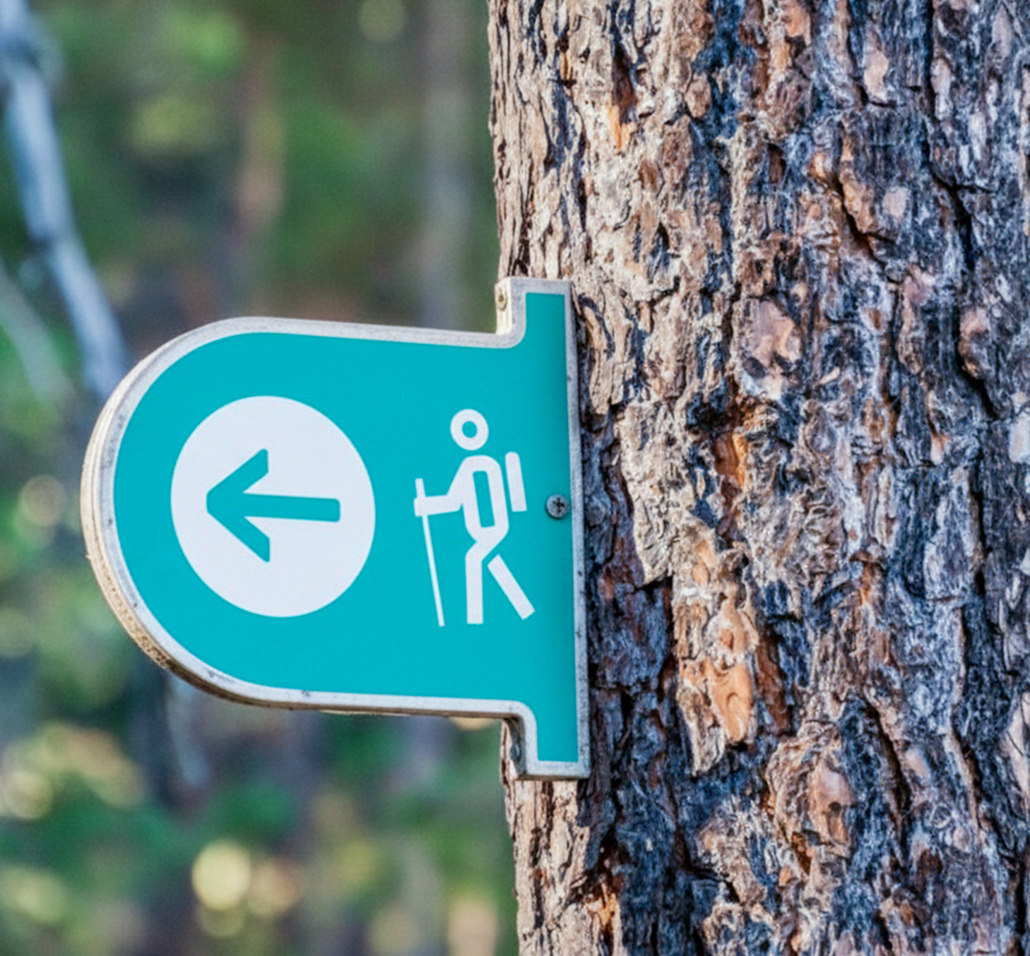 banner_senyaletica_3 (1)