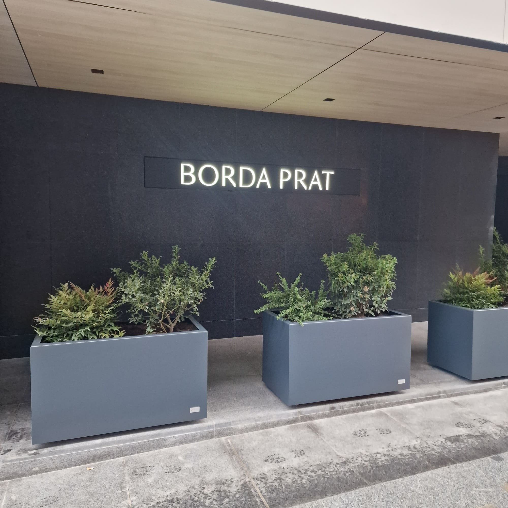 Borda Prat